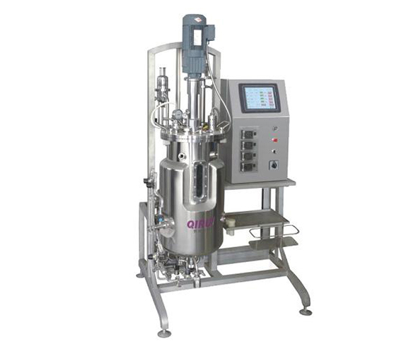 机械搅拌不锈钢发酵罐